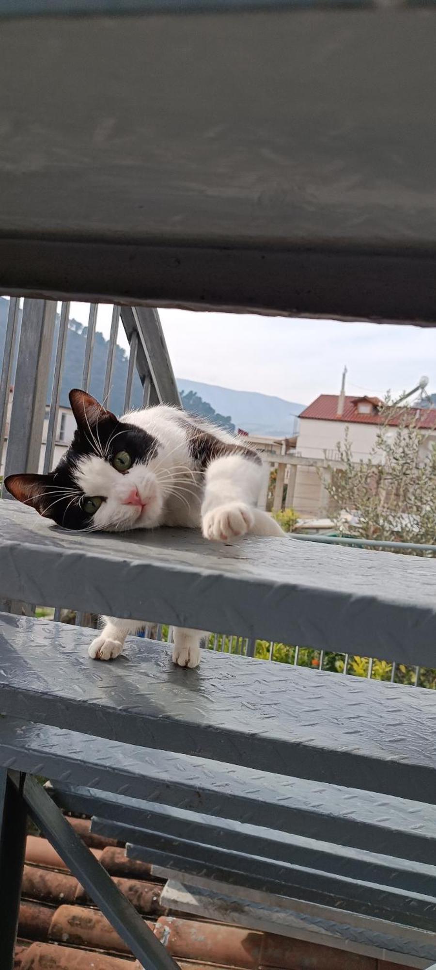 Guesthouse Eva Suite Berat Zewnętrze zdjęcie